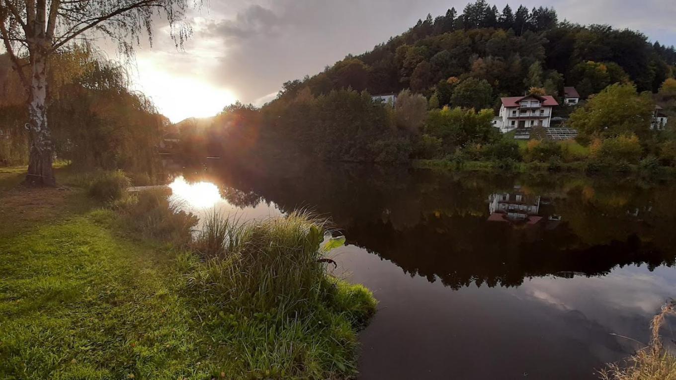 Landhotel Zur Wegelnburg Schönau Kültér fotó