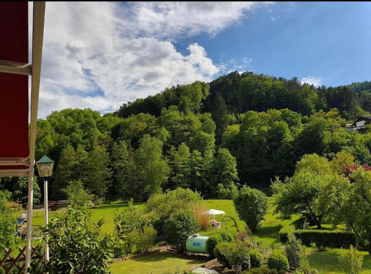 Landhotel Zur Wegelnburg Schönau Kültér fotó